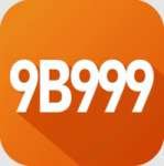 9b999 Max - Free Download